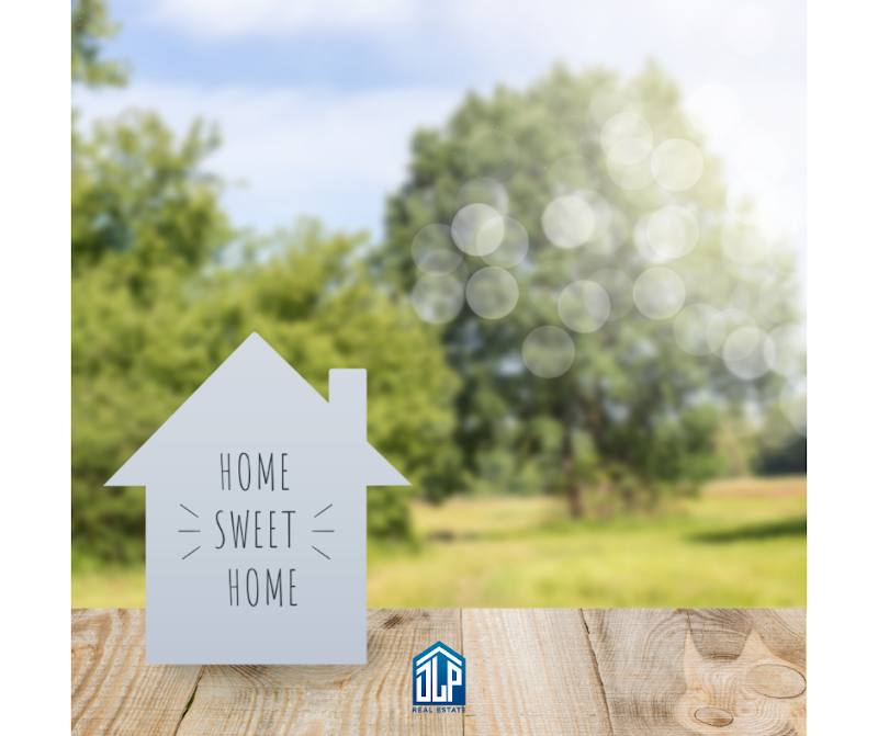 DLP Real Estate, Inc. photo 4