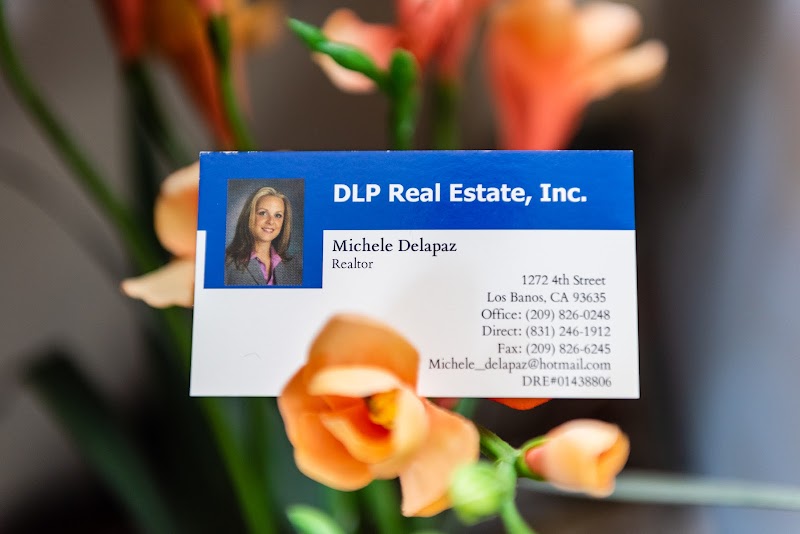 DLP Real Estate, Inc. photo 5