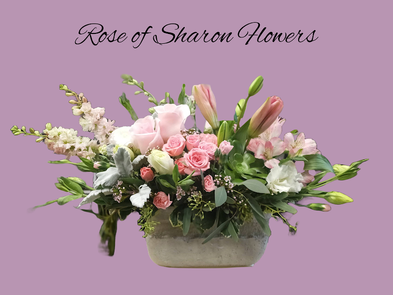 Photo of Rose of Sharon Flowers