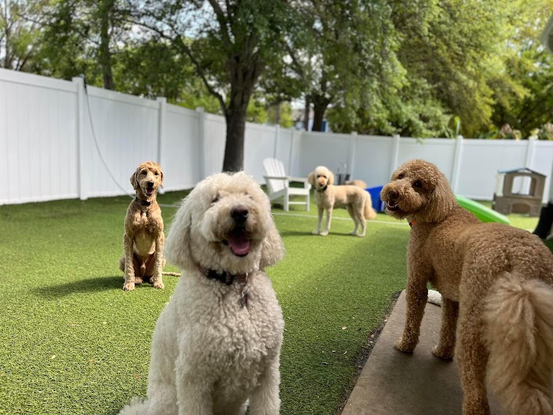 Rowdy's Pet Resort photo 5