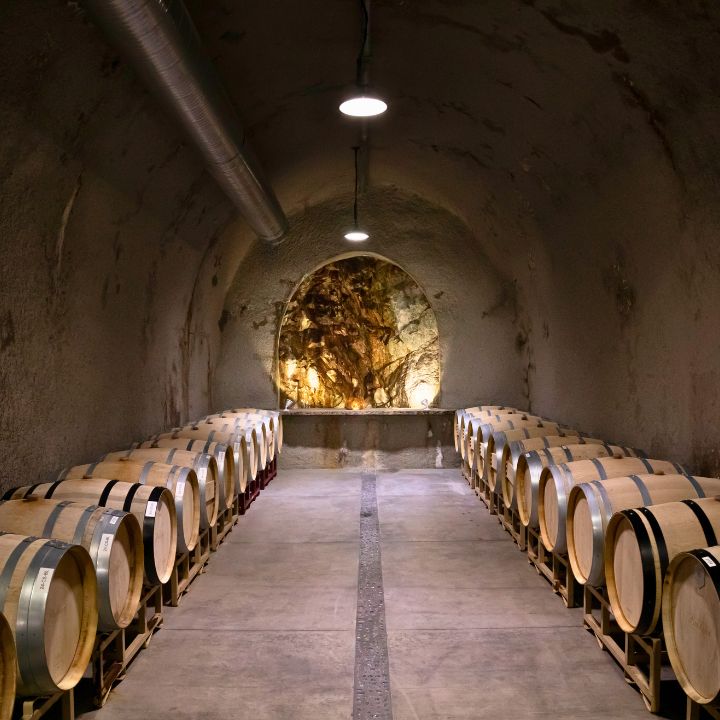 Baldacci Family Vineyards photo 2