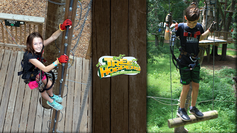 TreeHoppers Aerial Adventure Park photo 2
