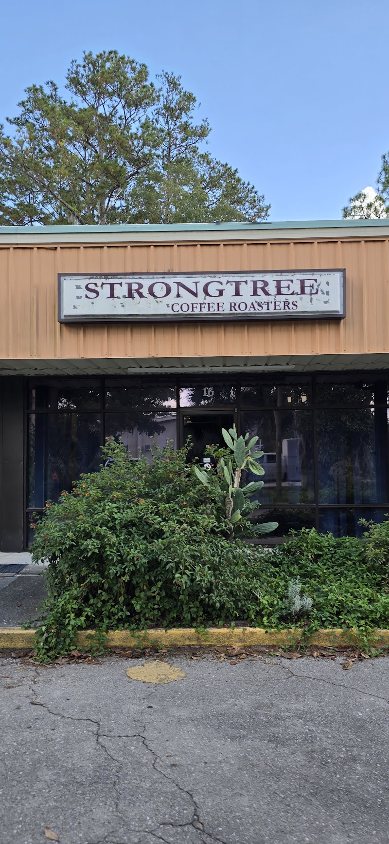 Strongtree Organic Coffee Roasters photo 2