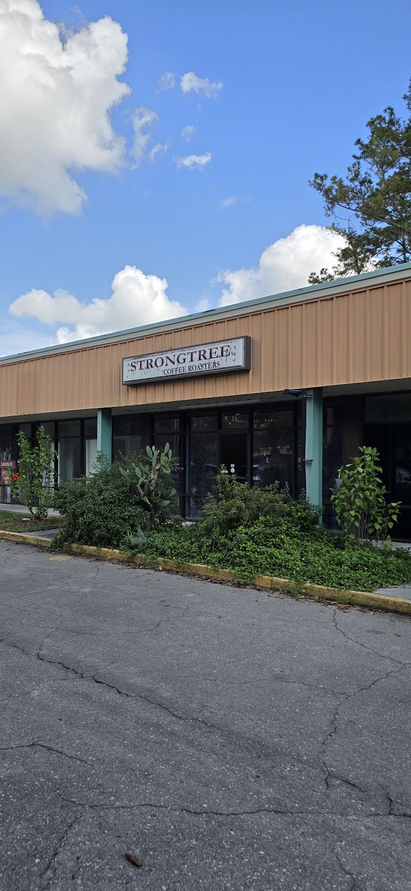 Strongtree Organic Coffee Roasters photo 3