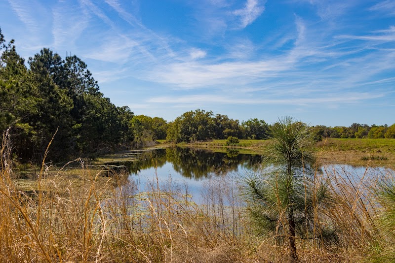 Photo of Lower Wekiva River Preserve State Park