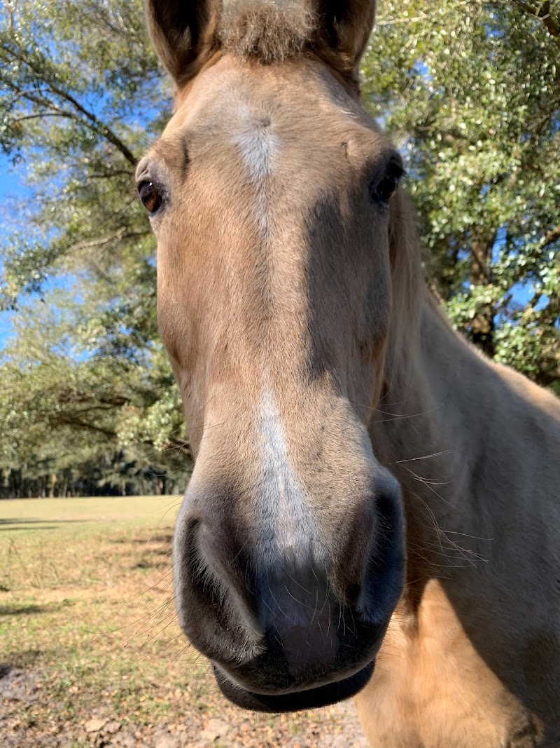 Photo of River Road Ranch