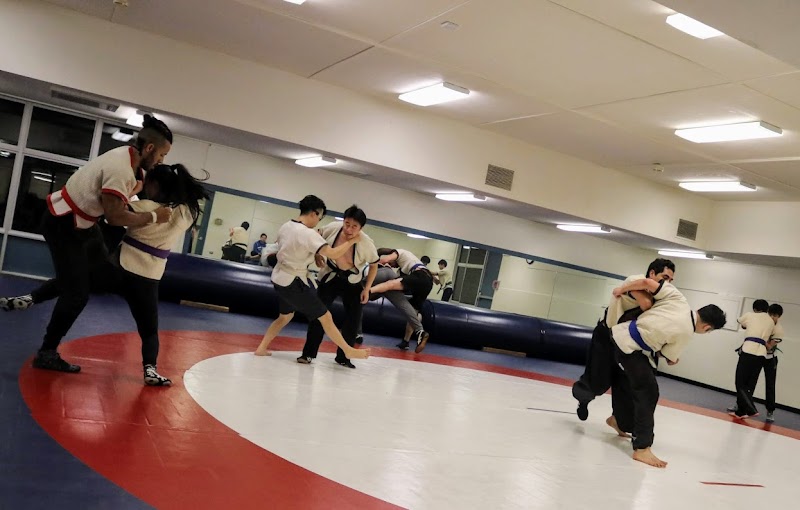 Cupertino Kung-fu club photo 3