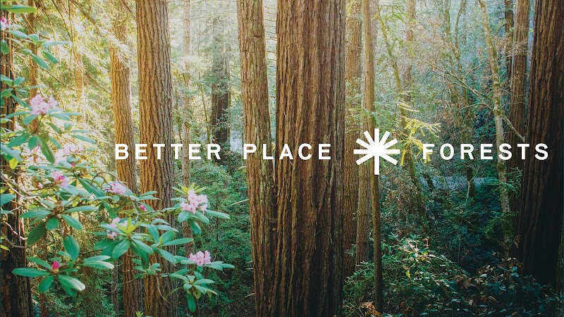 Photo of Better Place Forests