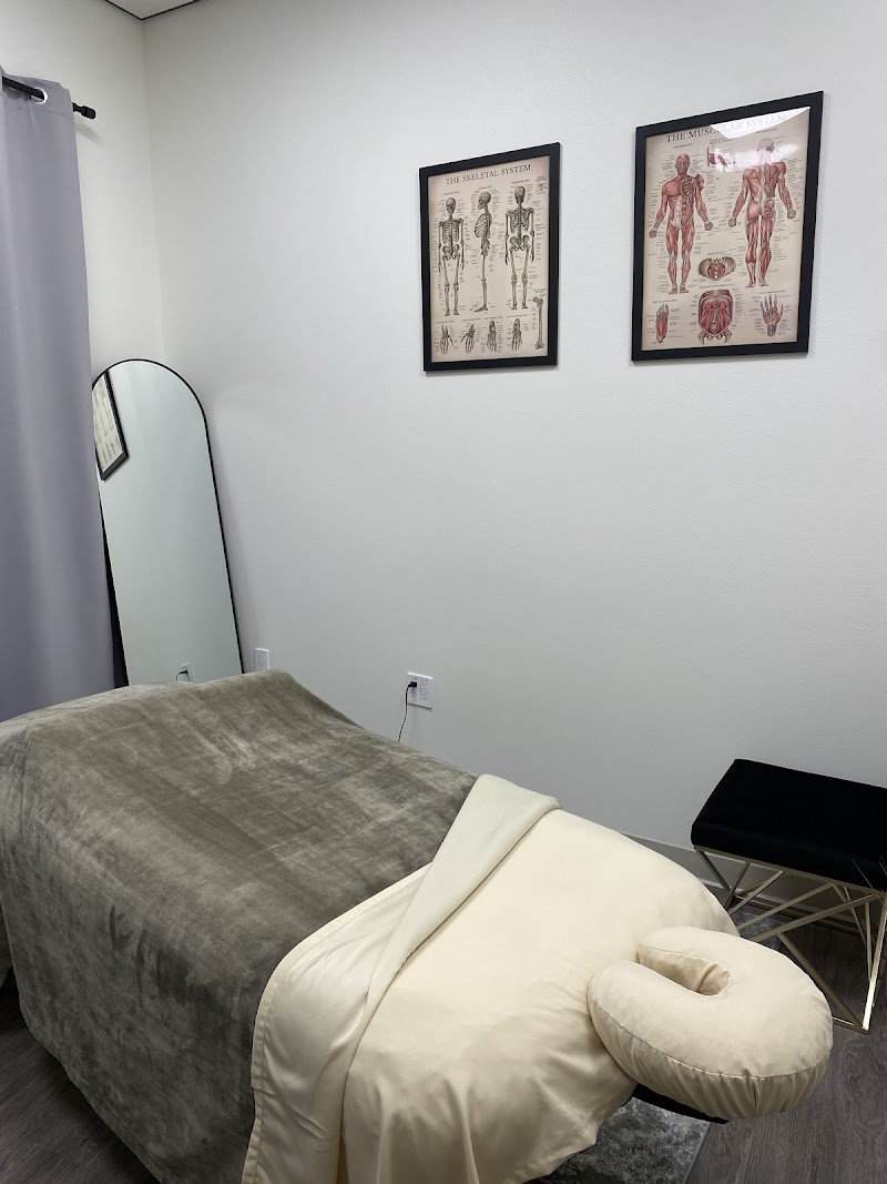 Sanus Massage Therapy Box photo 3
