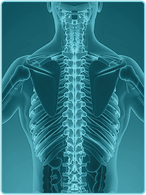 Comprehensive Spine & Sports: Melnik Irina L MD photo 5