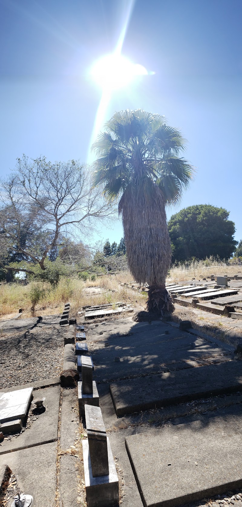 All Saints Cemetery photo 2