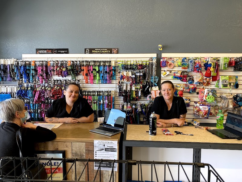 Puppy Boutique of Bartow photo 2