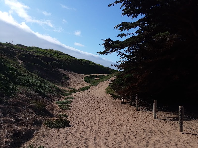 Palisades Park photo 5