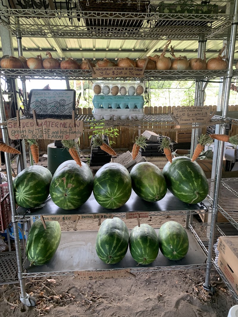 Walt's Farm Stand photo 2