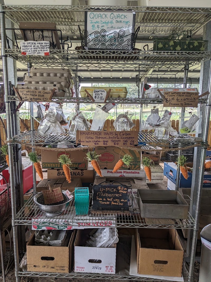 Walt's Farm Stand photo 4