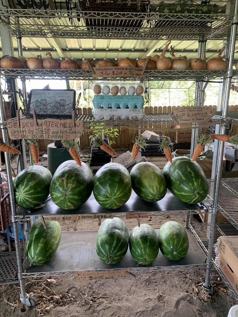 Walt's Farm Stand photo 5
