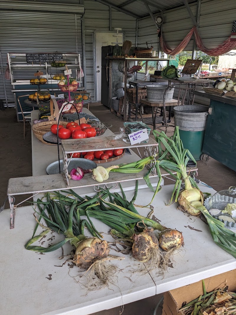 Walt's Farm Stand photo 3