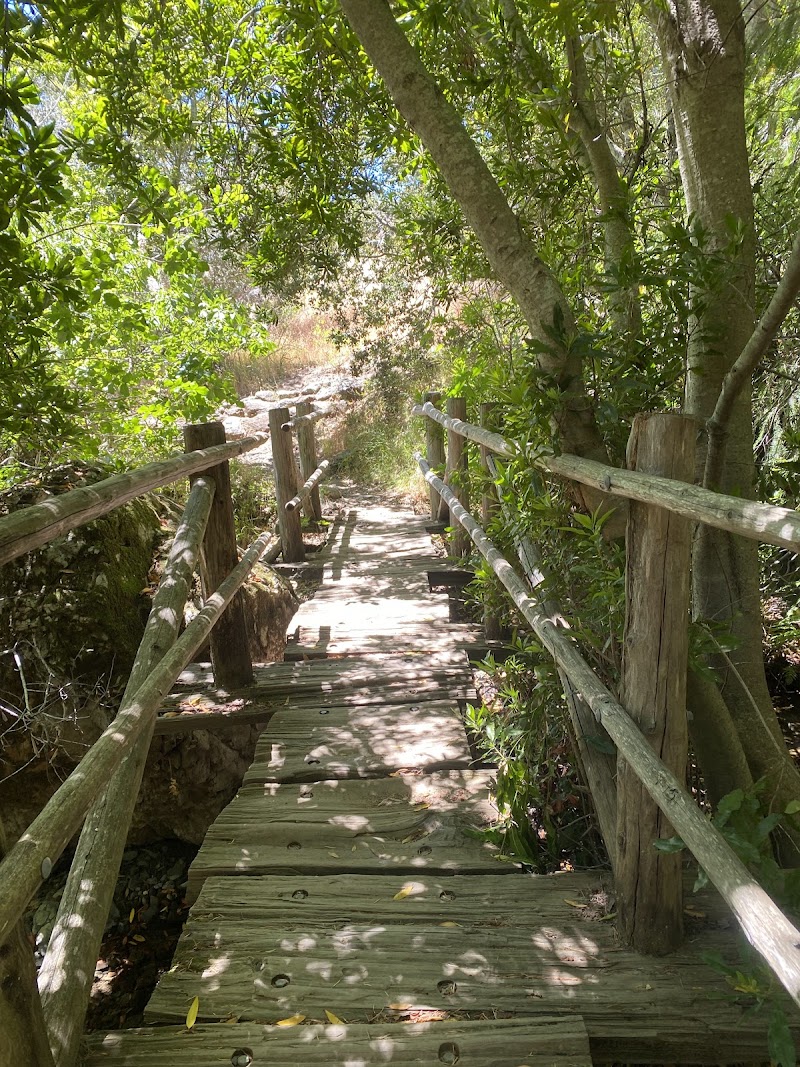 Azalea Hill Trail photo 5