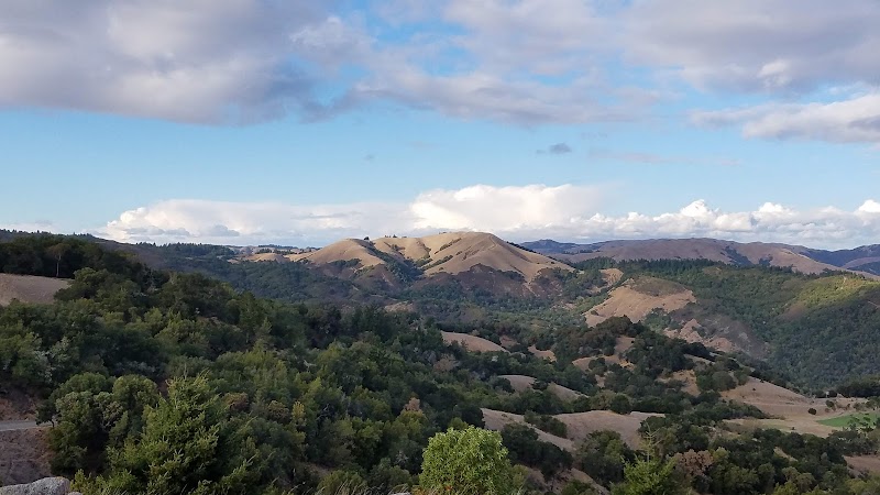 Photo of Azalea Hill Trail