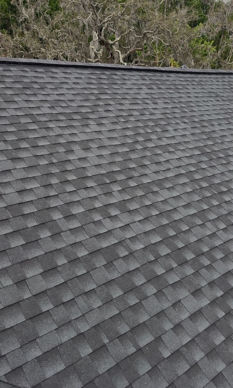 Wise Owl Roofing and Construction Solutions photo 2