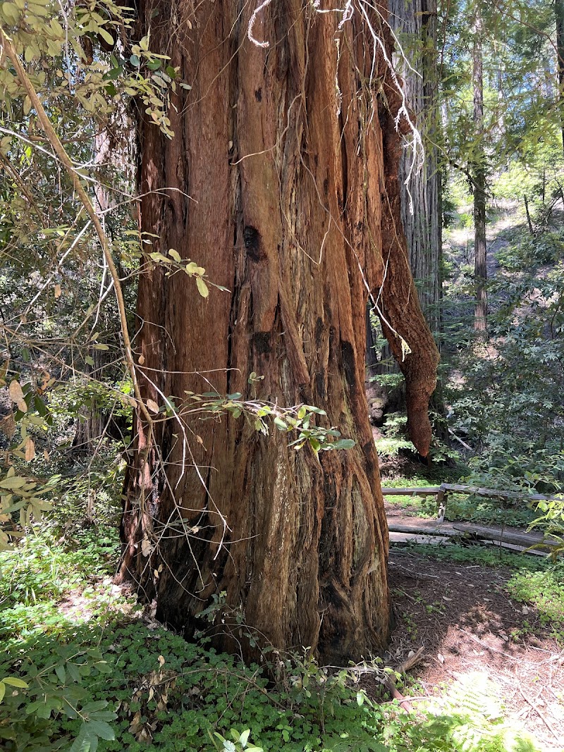 Photo of Pioneer Nature Trail