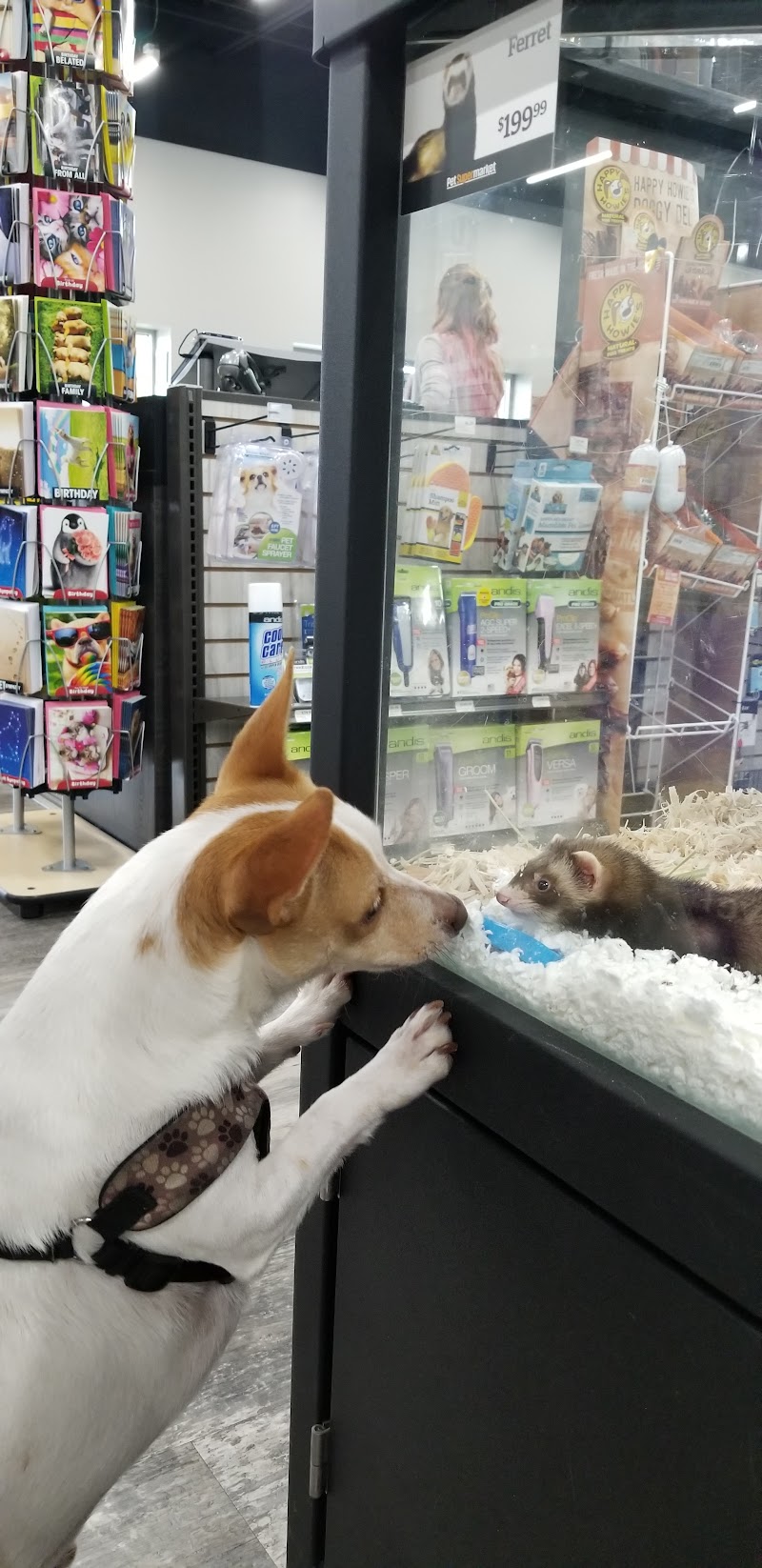 Pet Supermarket photo 3