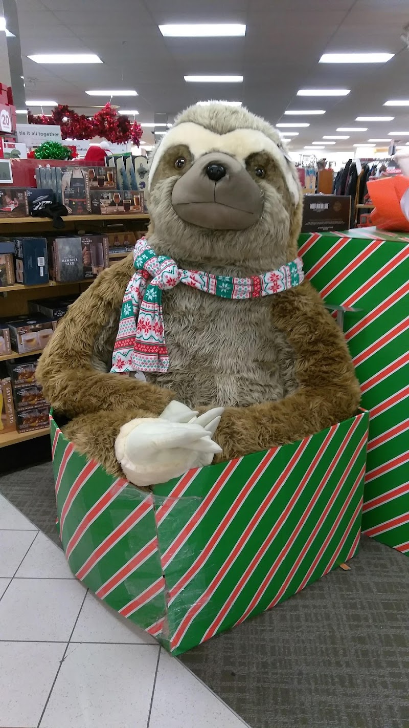 Kohl's photo 4
