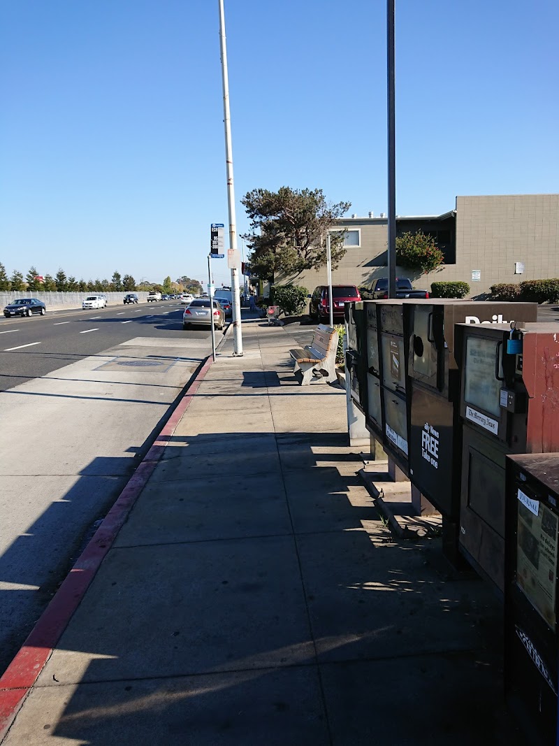 El Camino Real & Brittan Ave photo 3