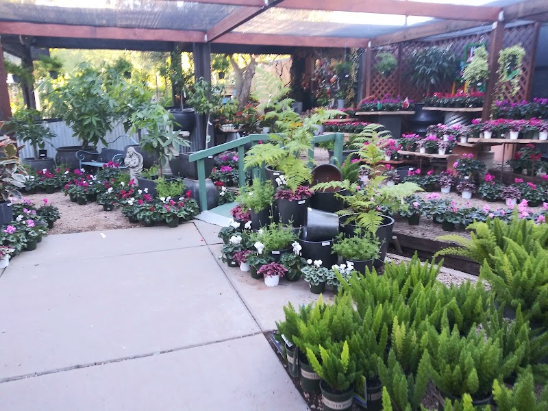Berridge Nurseries photo 2