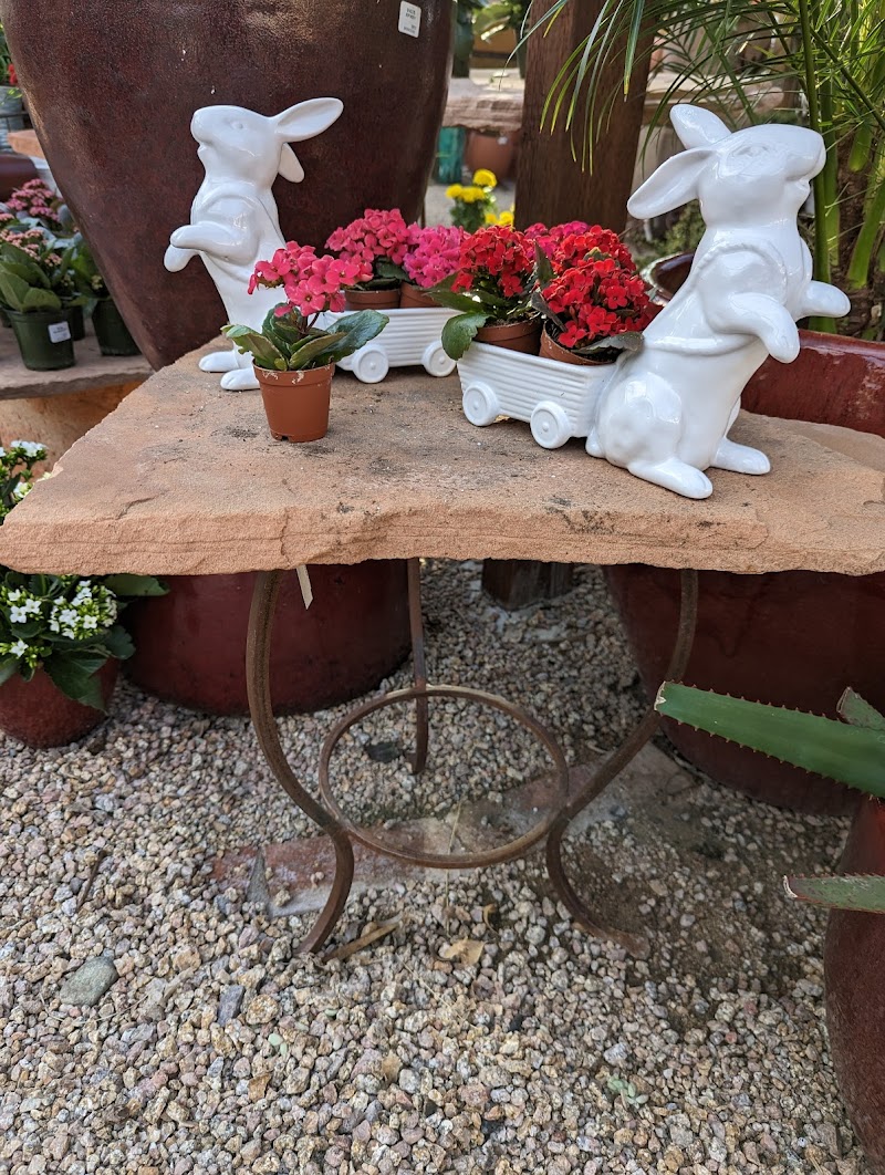 Berridge Nurseries photo 5