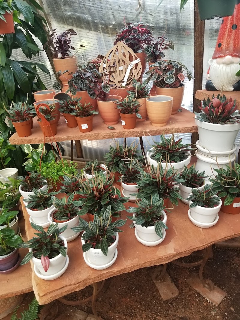 Berridge Nurseries photo 3