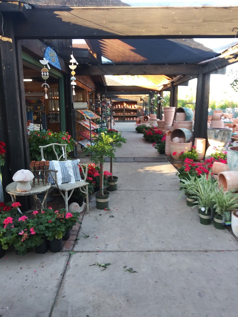 Photo of Berridge Nurseries