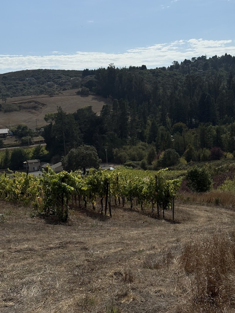 Naidu Wines & Vineyards photo 3