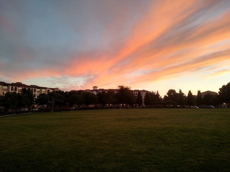 Bray Commons photo 4