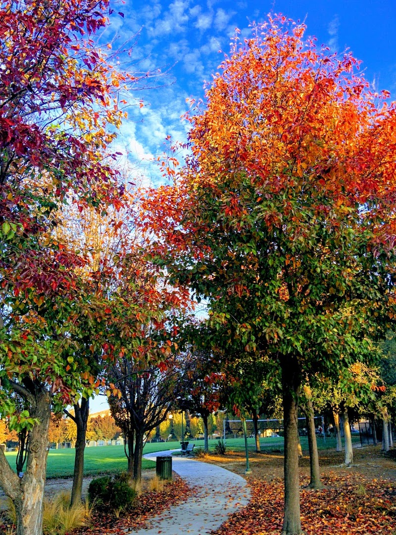 Bray Commons photo 5