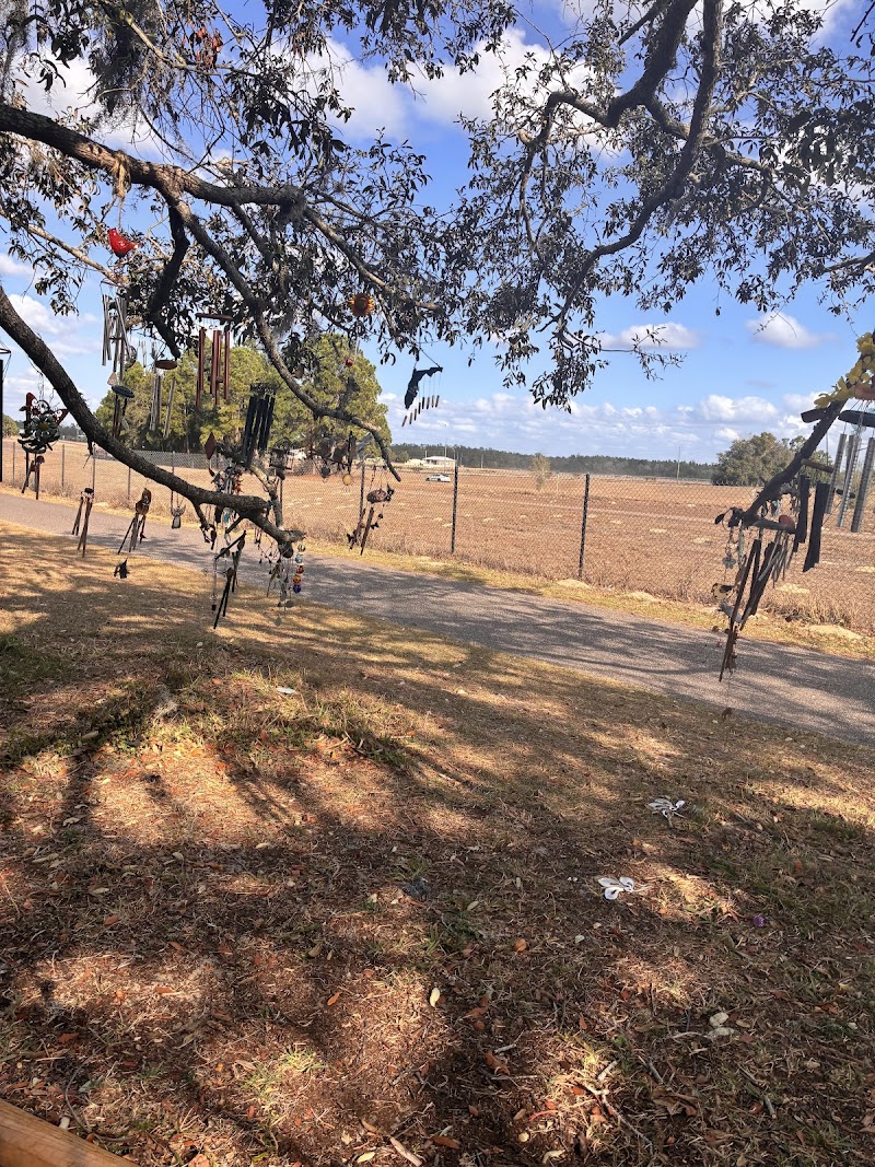 Photo of Spirit Tree