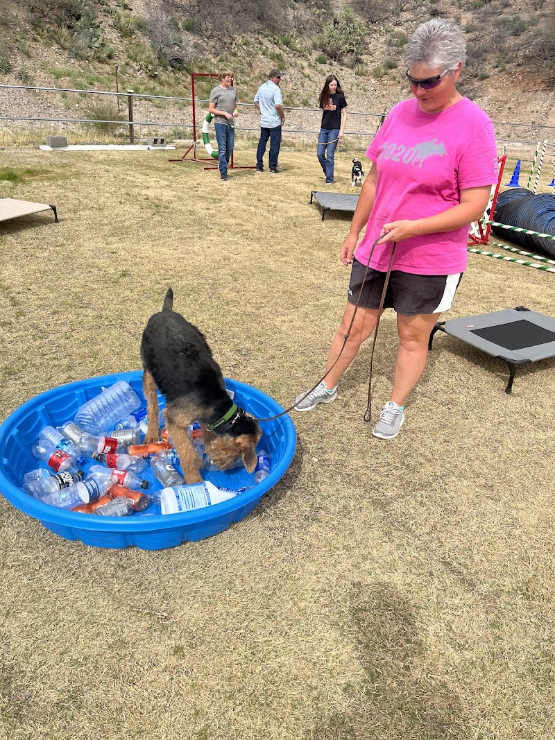 Animal Magnetism photo 4