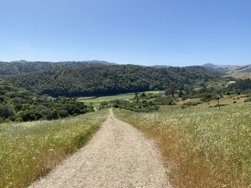Photo of Junction of Rimer Creek and Rocky Ridge Trails