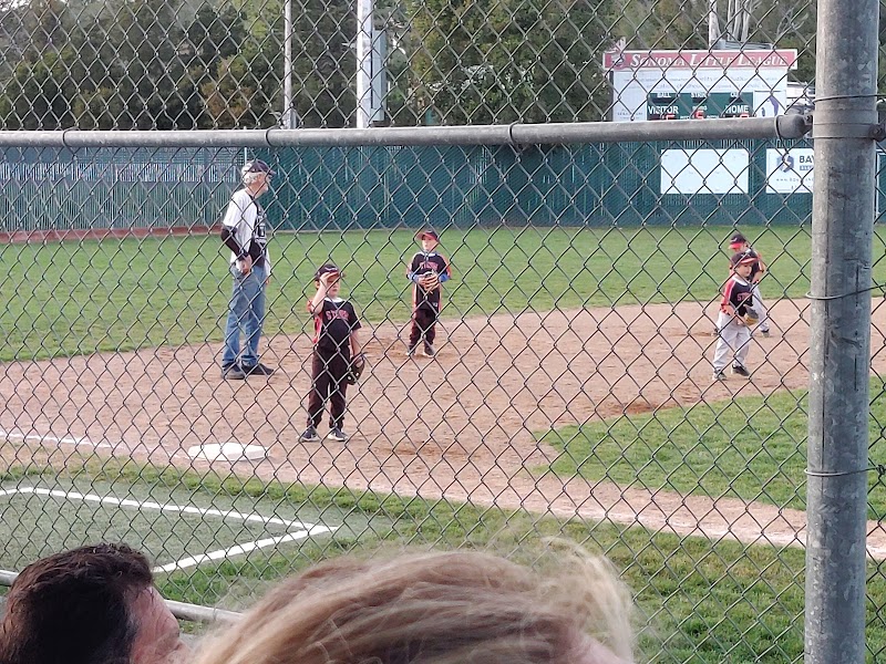 Sonoma Valley Little League photo 2