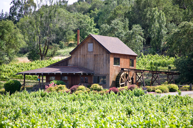 Photo of Mill Creek Vineyards & Winery