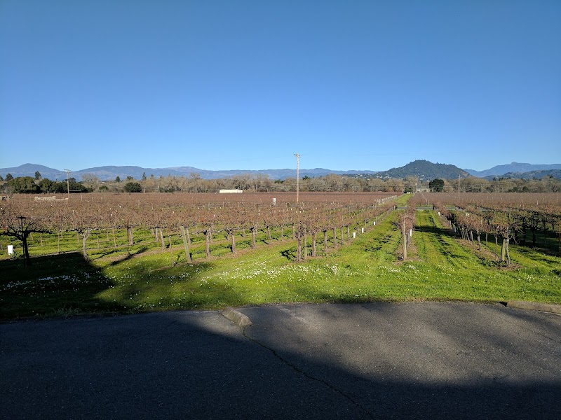 Mill Creek Vineyards & Winery photo 5