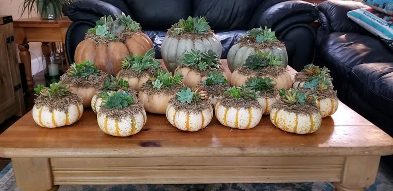 Handcrafted Harvest photo 2