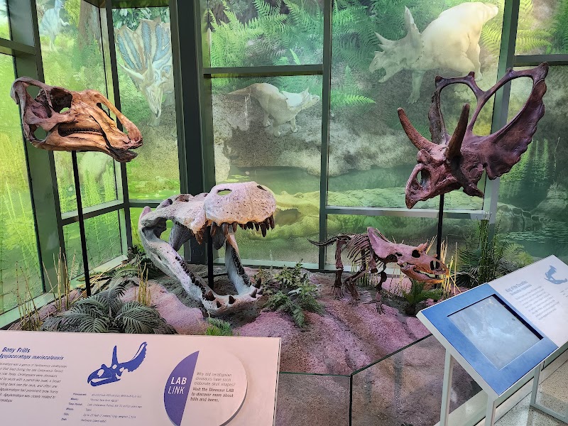 Witte Museum photo 4