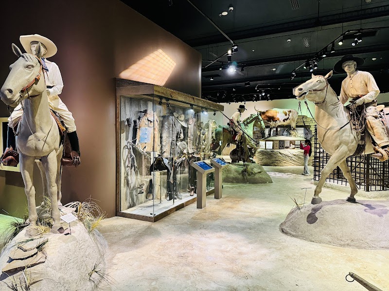 Witte Museum photo 5