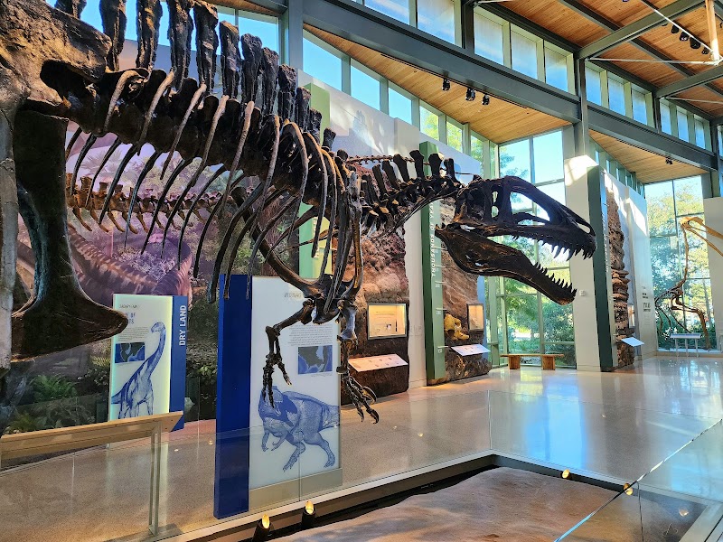 Witte Museum photo 2