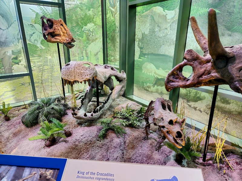 Witte Museum photo 3