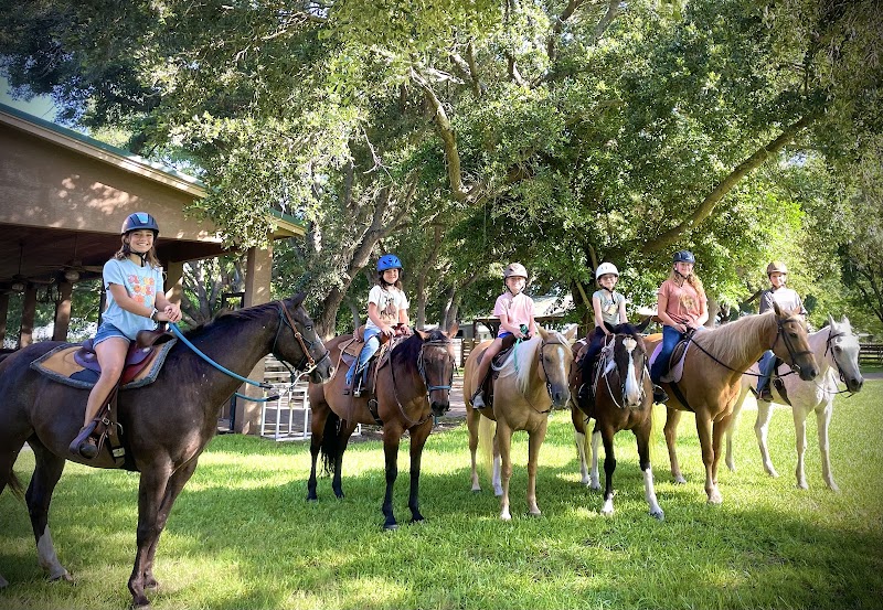 Crystal Beach Farm photo 2
