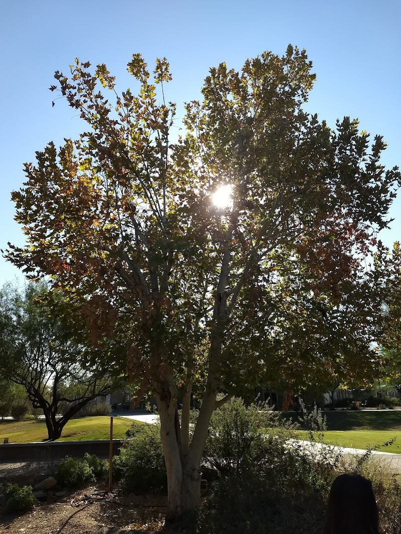 Two Waters Circle photo 5