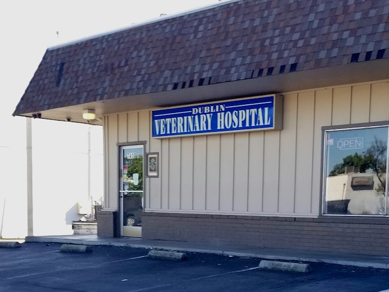 Dublin Veterinary Hospital photo 2