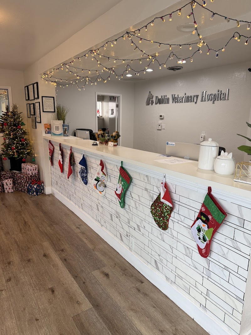 Dublin Veterinary Hospital photo 3